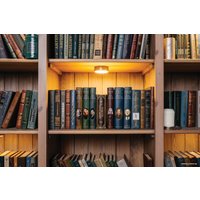 Сейф-книга BRAUBERG Царская казна