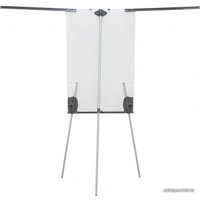 Магнитно-маркерная доска CACTUS CS-FCT-M67x105