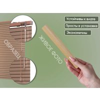 Жалюзи горизонтальные АС МАРТ 772-082 170x160 (бук)