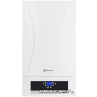 Отопительный котел Thermex Hydra HS30