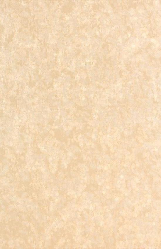 

Рулонные шторы Lm Decor Жаккард LM 66-04 90x160