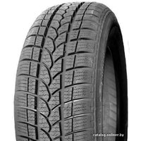 Зимние шины Tigar Winter 1 245/45R18 100V