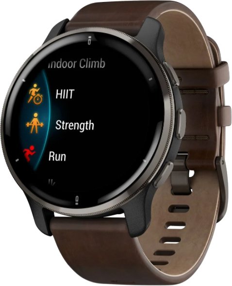 

Умные часы Garmin Venu 2 Plus (черный/коричневый)