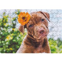 Пазл Dream Makers Зверята RI1203C