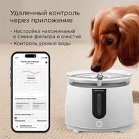 Поилка Redmond (Редмонд) PC5400S в Пинске