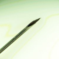 Микроскоп Magus Stereo D8T Plus 85282