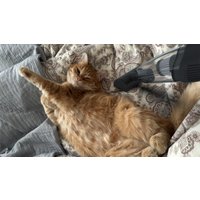 Автомобильный пылесос Ritmix CVC-003