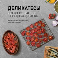 Сушилка для овощей и фруктов Weissgauff WDH 108 Digital Dry