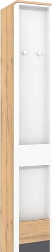 Шкаф распашной Глазов МЦН Лойс 85 (Дуб золотистый/Белый/Графит)