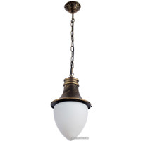 Уличный подвесной светильник Arte Lamp Vienna A1317SO-1BN