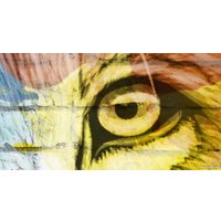 Фотообои ФабрикаФресок Лев и граффити 571301 (130x100) в Витебске