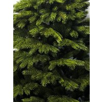 Кедр IELKI Кедр 1.8 м в Гомеле