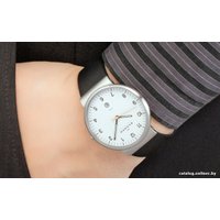 Наручные часы Skagen SKW6024