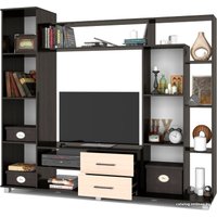 Стенка Modern Прага (венге/дуб млечный)