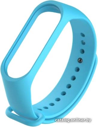 Ремешок Evolution XMB5-S01 для Xiaomi Mi Band 5/Mi Smart Band 5 (голубой)