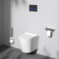 Унитаз подвесной AM.PM Sunny Flashclean C85C1701SC (с сиденьем)