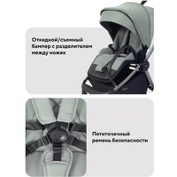 Универсальная коляска Rant Flex Therm RA112 (2 в 1, forest green)