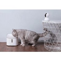 Фонтанчик Xiaowan Smart Pet Water Dispenser XWWF01MG-EU (европейская версия)