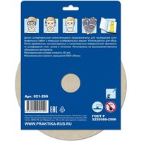 Набор шлифлистов Практика Профи 921-299 (5 шт)