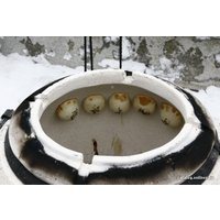 Тандыр Амфора Сармат восточный