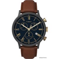 Наручные часы Timex Waterbury TW2U88200