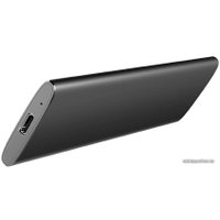Внешний накопитель Hikvision T200N HS-ESSD-T200N/1024G 1TB (черный)