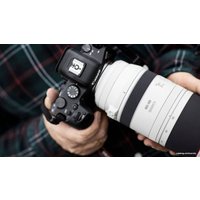 Объектив Canon RF 100-500mm f/4.5-7.1 L IS USM