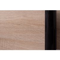 Шкаф-купе Евва 14 SSG.02 АЭП ШК.2 02 (сонома /венге глянец)