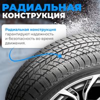 Зимние шины Autogreen Snow Chaser AW02 225/65R17 102T