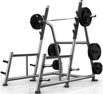 Силовая стойка Matrix Magnum Power A81