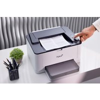 Принтер F+ PB301DN