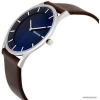 Наручные часы Skagen SKW6237