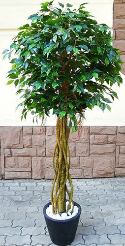 Искусственное растение Forgarden Дерево Ficus Beliz Big FGN BF00393