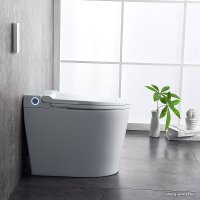 Унитаз приставной Brunnen WAL BW-2402