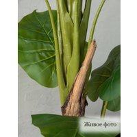 Искусственное растение Merry Bear Home Decor Филодендрон AZ01140