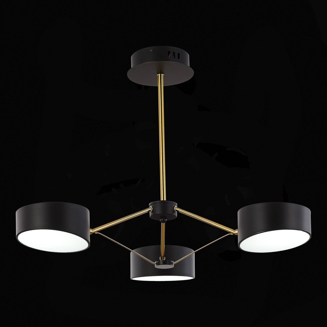 

Подвесная люстра ST Luce SLE6005-402-03