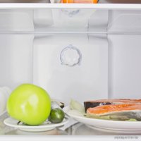 Холодильник Indesit BIA 16 NF S