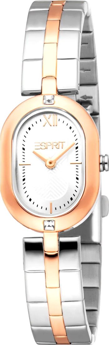 

Наручные часы Esprit ES1L500M0055