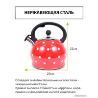 Чайник со свистком TimA WTK241C