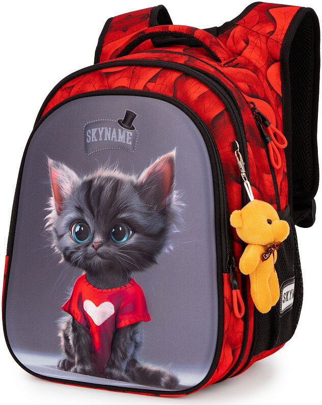 

Школьный рюкзак SkyName R1-068 + брелок мишка