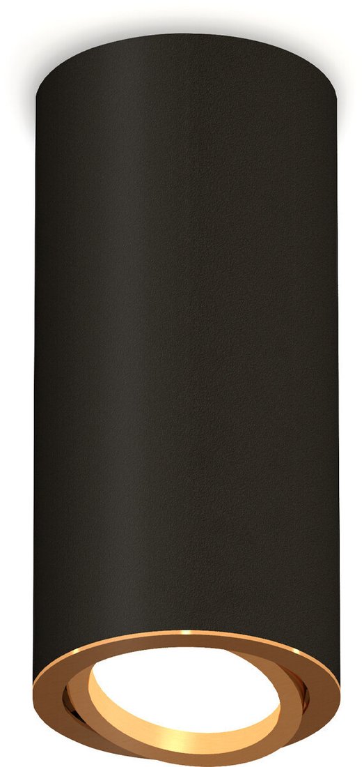 

Припотолочная люстра Ambrella light Techno spot XS7443004 SBK/PYG