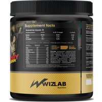 Протеин сывороточный (концентрат) WizLab Nutrition 100% Whey Protein Concentrate (шоколад, 500г)