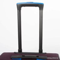 Чемодан-спиннер Francesco Molinary 111-22039W/3-19PRP (фиолетовый)