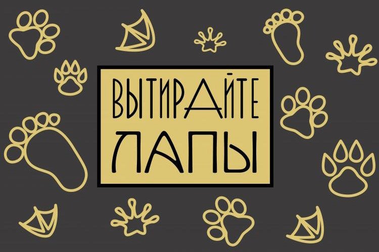 

Придверный коврик Venera Home Вытирайте лапы ПВХ 60x90