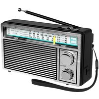 Радиоприемник Ritmix RPR-131