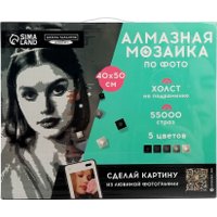 Алмазная мозаика  Школа талантов Gray 10699412