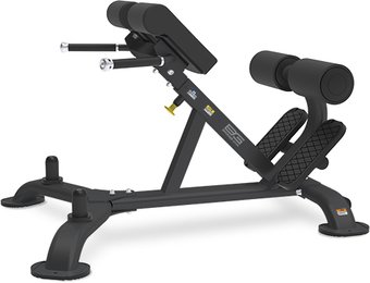 Bronze Gym BR-1010