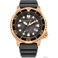 Наручные часы Citizen Promaster BN0163-00H