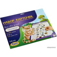 Детская настольная игра Десятое королевство Набор карточек Все обо всем