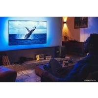 Беспроводной сабвуфер Philips Fidelio TAFW1/10